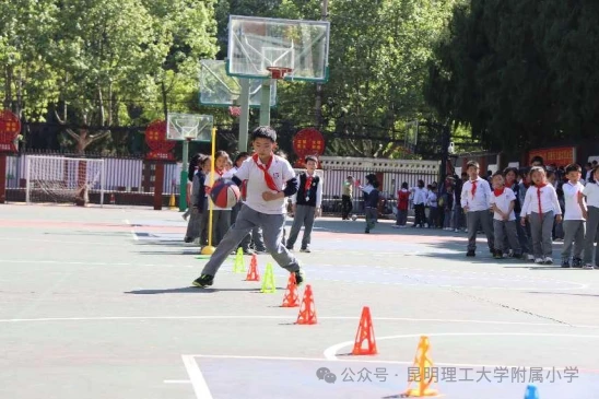 如何通过团队协作策略提升整体篮球水平_1
