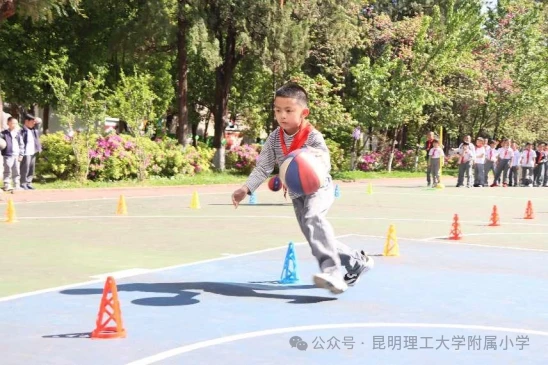 青少年篮球训练的影响因素及对策研究_0
